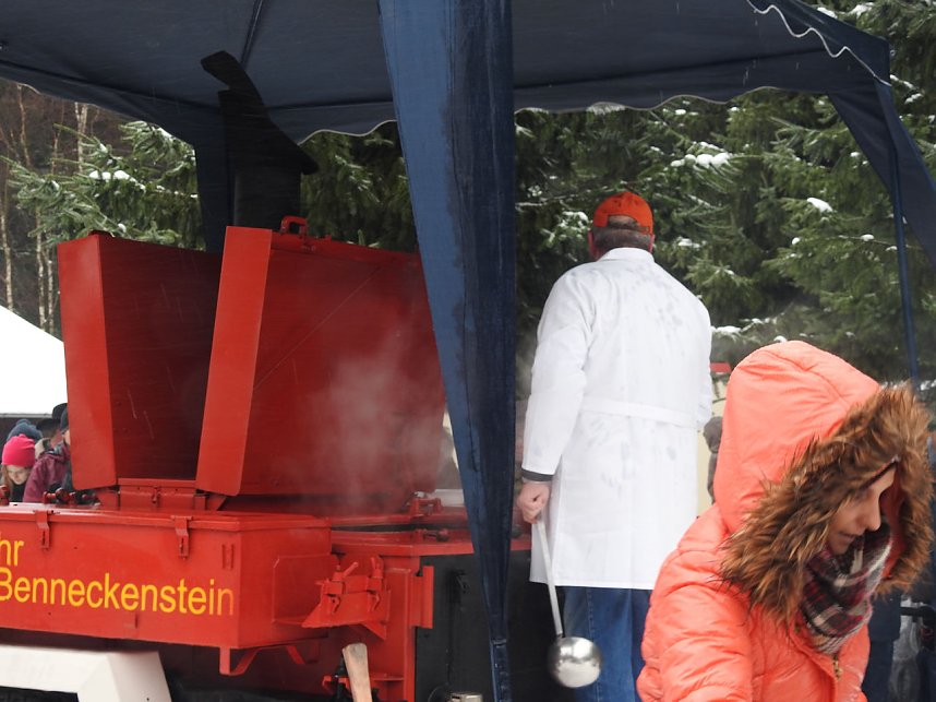 Schlittenhunderennen 2016 in Benneckenstein