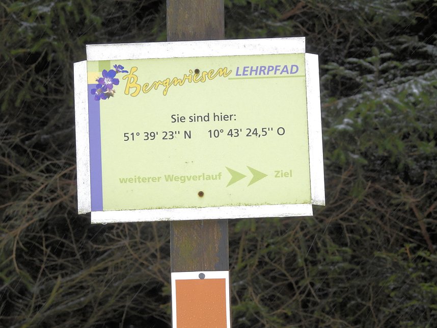Schlittenhunderennen 2016 in Benneckenstein