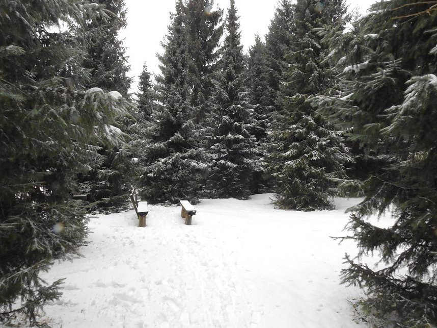 Schlittenhunderennen 2016 in Benneckenstein