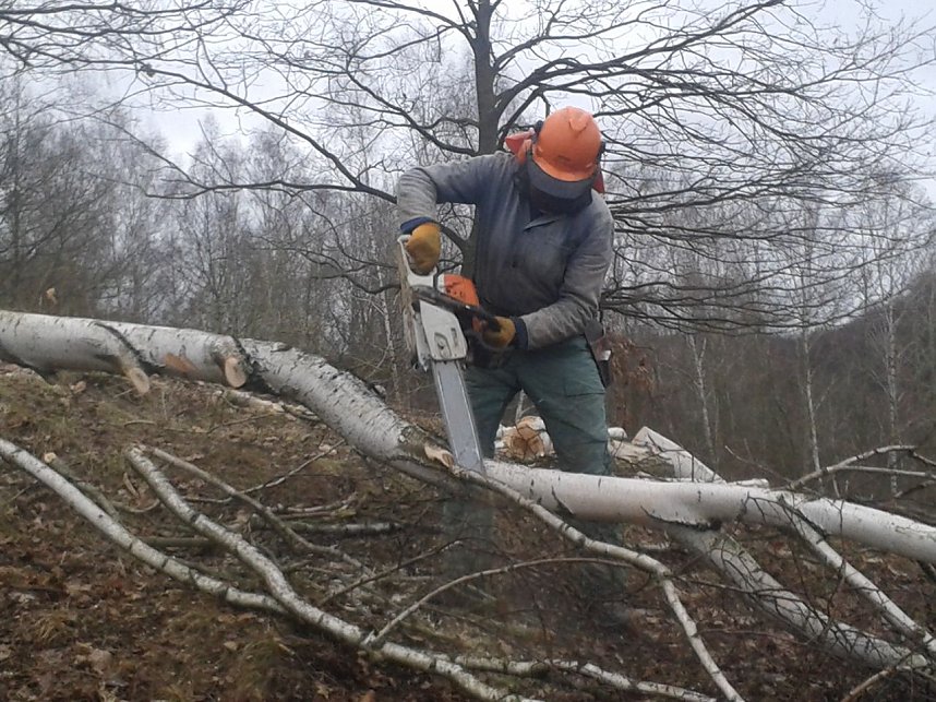 Viel zu tun - der BUND war am Wochenende wieder in der R&uuml;digsdorfer Schweiz im Einsatz