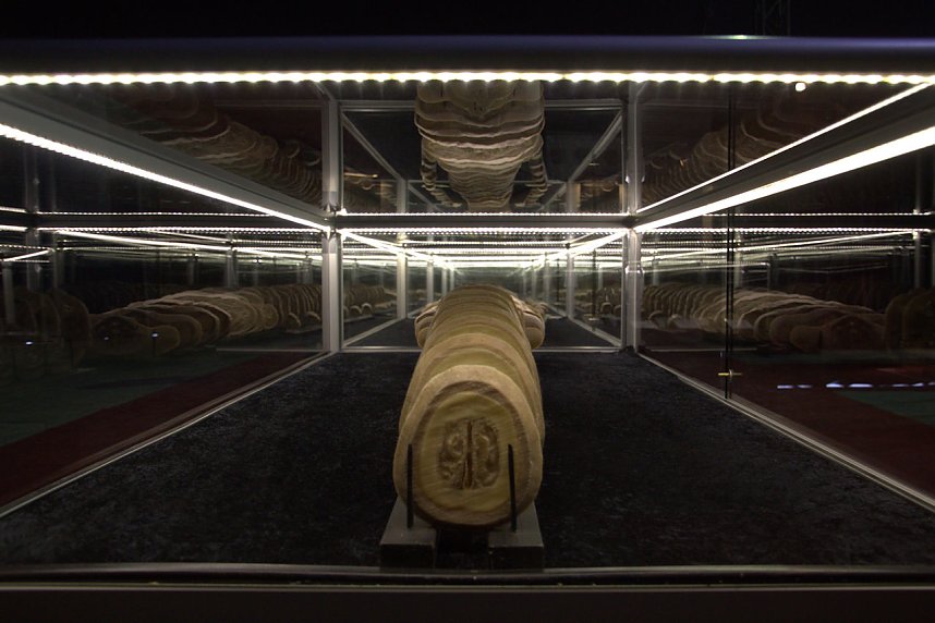 Echte K&ouml;rper zum Bestaunen