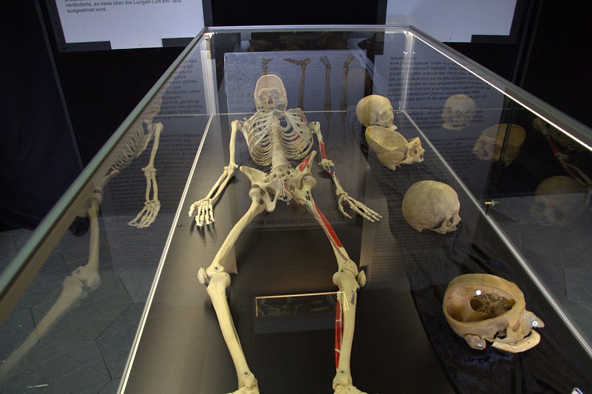 Echte K&ouml;rper zum Bestaunen