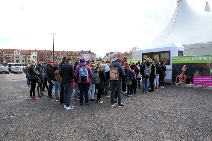 Echte K&ouml;rper zum Bestaunen