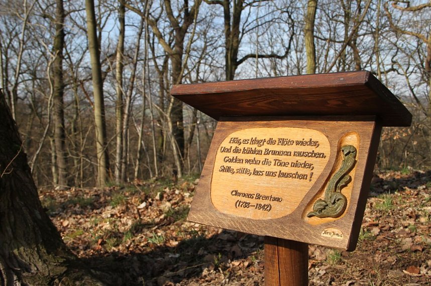 Der Fr&uuml;hling kommt - im Park Hohenrode ist er schon ein bisschen da