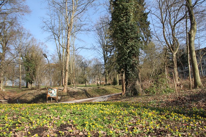 Der Fr&uuml;hling kommt - im Park Hohenrode ist er schon ein bisschen da