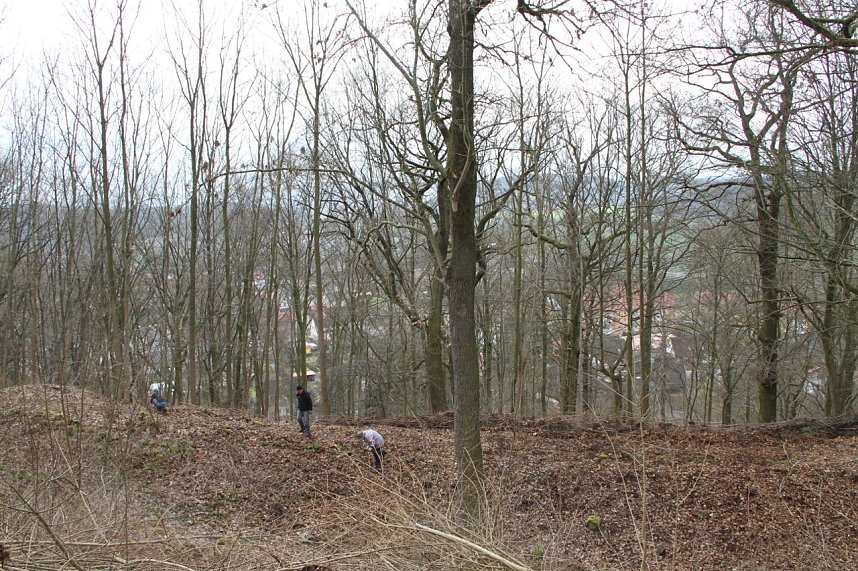 Voller Arbeitseinsatz &uuml;ber Ilfeld - gut 40 Personen waren heute auf dem Burgberg &uuml;ber der Stadt aktiv