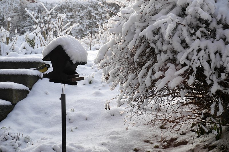 Winter statt Fr&uuml;hling