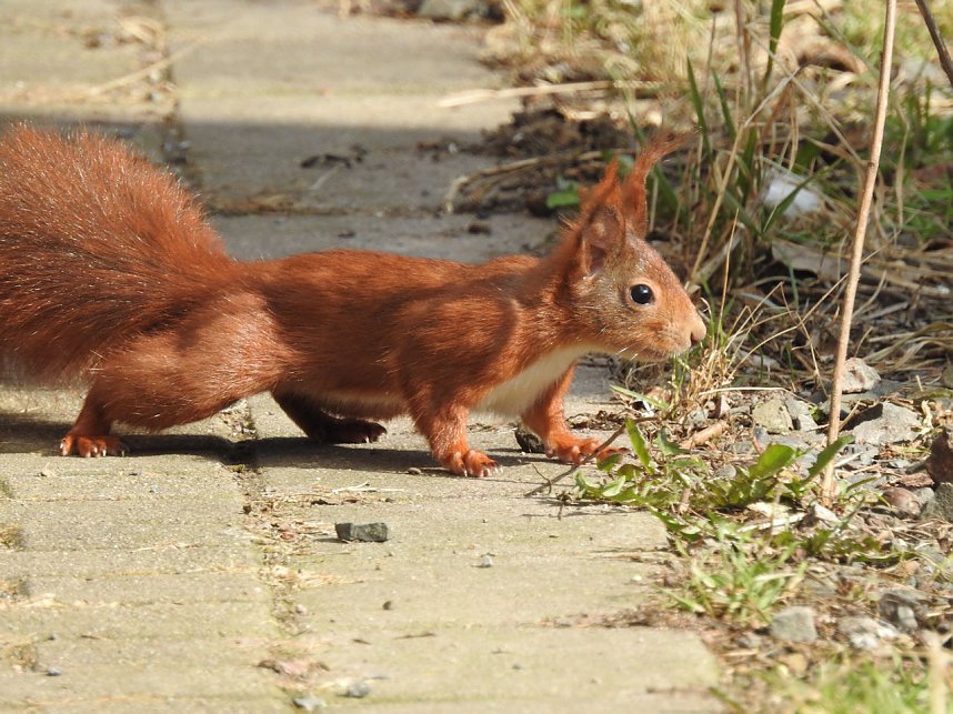 Am Ende der Puschkin-Stra&szlig;e