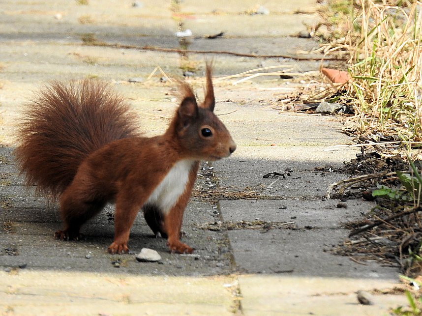 Am Ende der Puschkin-Stra&szlig;e