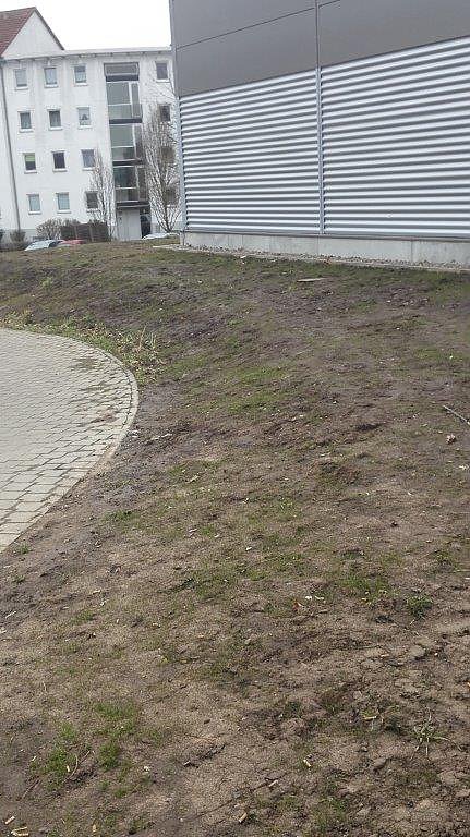 Rund um den Edeka-Markt in Nordhausen Ost