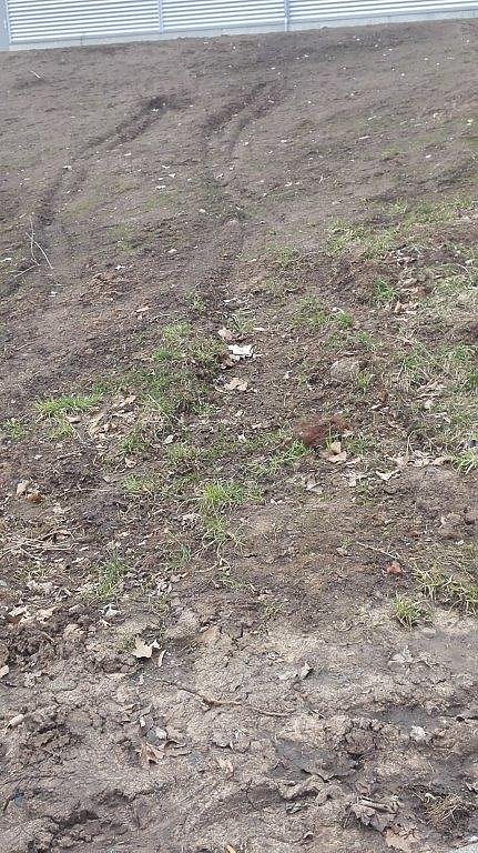 Rund um den Edeka-Markt in Nordhausen Ost