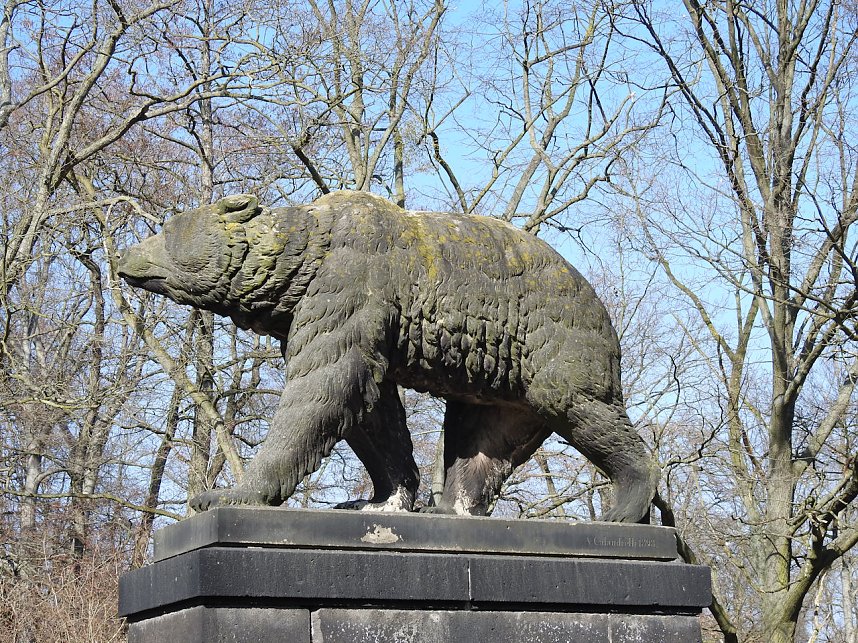 Tierisches Treiben im Dessauer Park