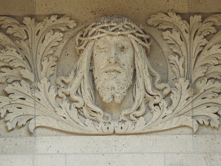 Tierisches Treiben im Dessauer Park