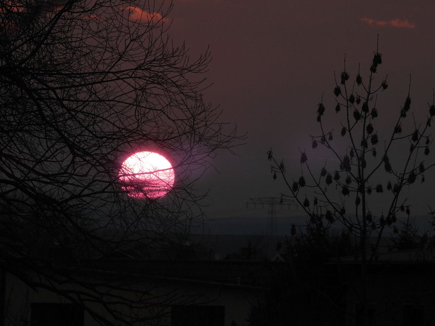 Abendlicht in der Ruine - Drei Steiff wird abgerissen
