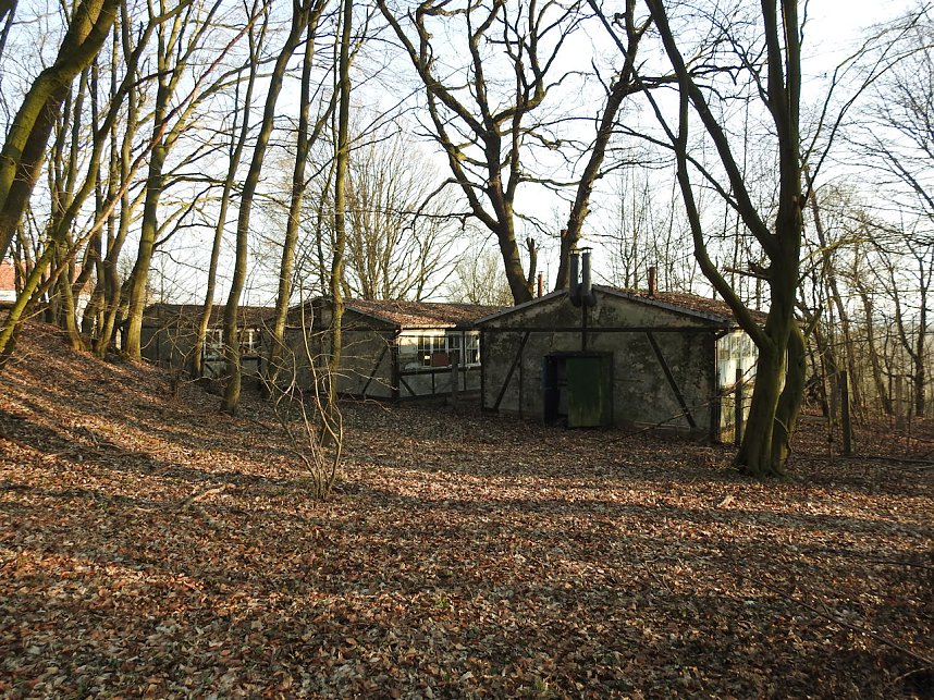 Ritterberg bei Rottleberode