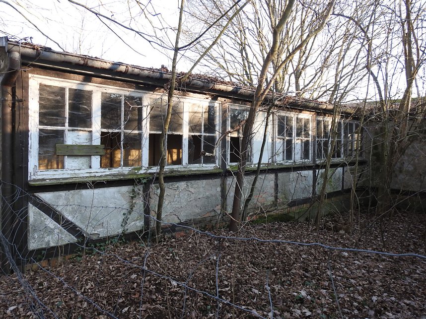 Ritterberg bei Rottleberode