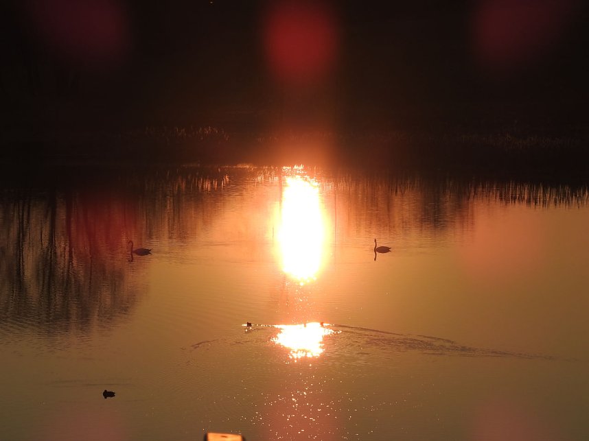 Sonnenuntergang am Donnerstag