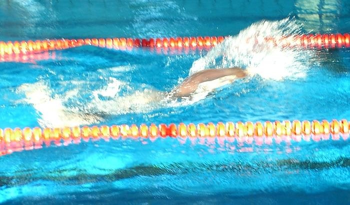 Um die Wette geschwommen