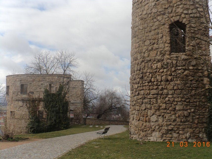 Petersberggarten erwacht aus dem Winterschlaf