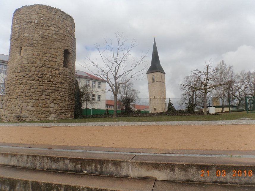 Petersberggarten erwacht aus dem Winterschlaf