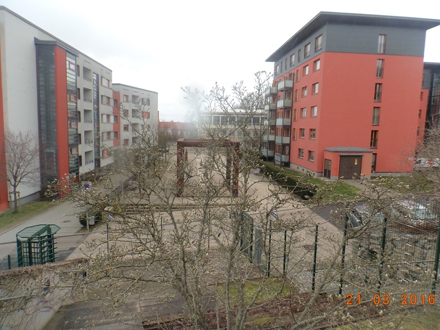 Petersberggarten erwacht aus dem Winterschlaf