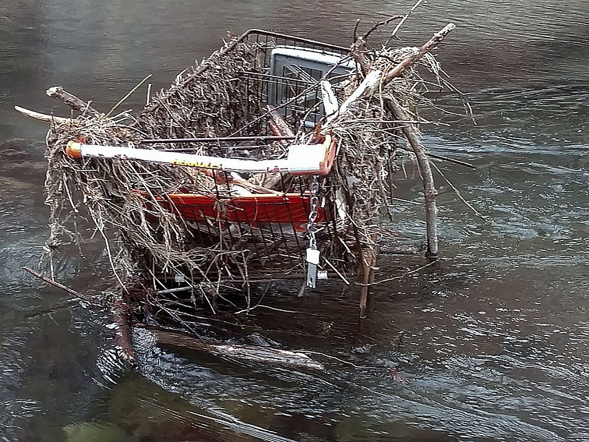 Einkaufswagen im Fluss