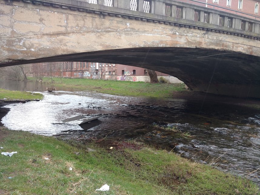 Einkaufswagen im Fluss