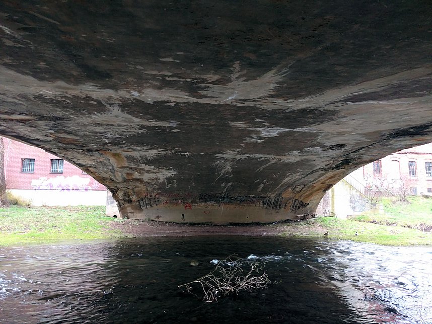 Einkaufswagen im Fluss