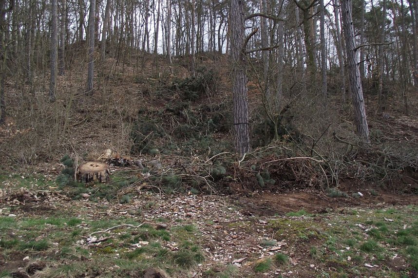 Spazierg&auml;ngern verschl&auml;gt es die Sprache