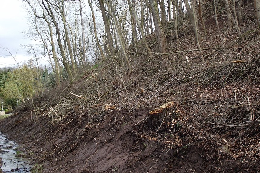 Spazierg&auml;ngern verschl&auml;gt es die Sprache