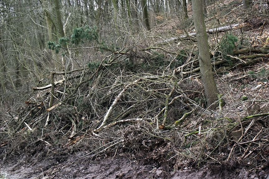 Spazierg&auml;ngern verschl&auml;gt es die Sprache