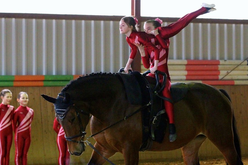 Hallenreitturnier in Immenrode