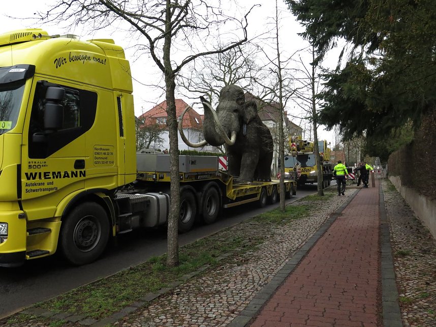 Das Mammut ist umgezogen