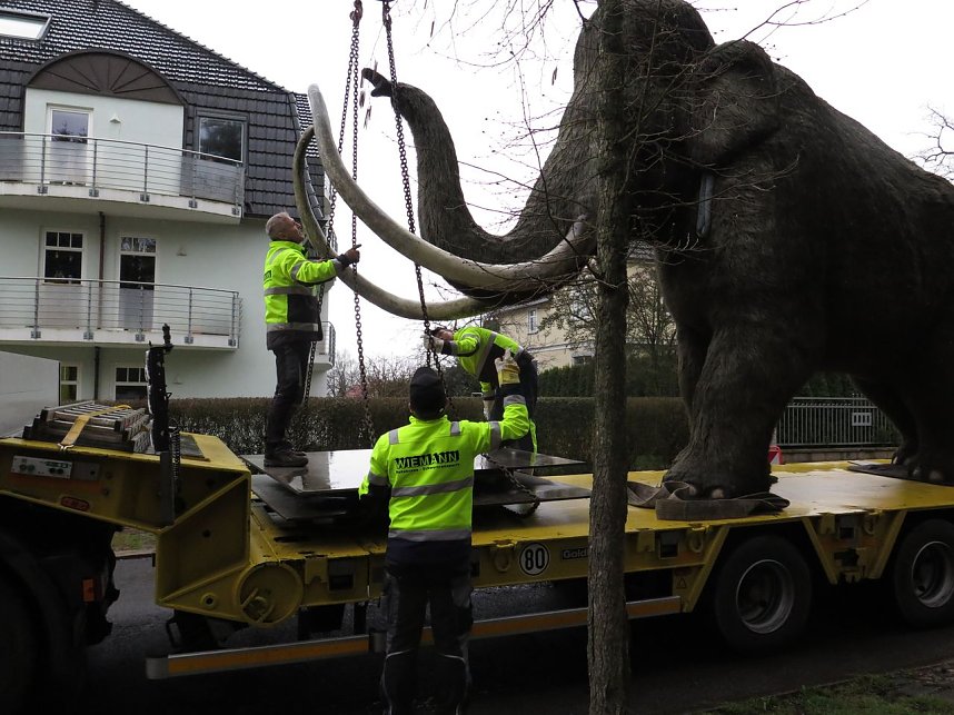 Das Mammut ist umgezogen