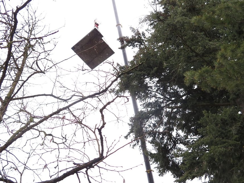 Das Mammut ist umgezogen