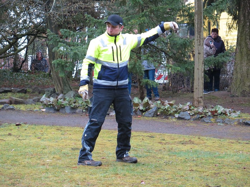 Das Mammut ist umgezogen