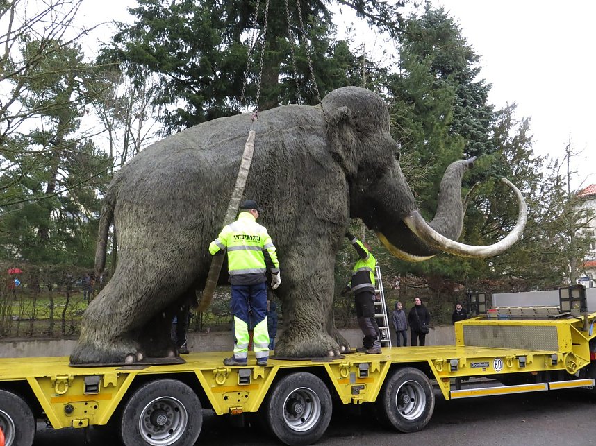 Das Mammut ist umgezogen