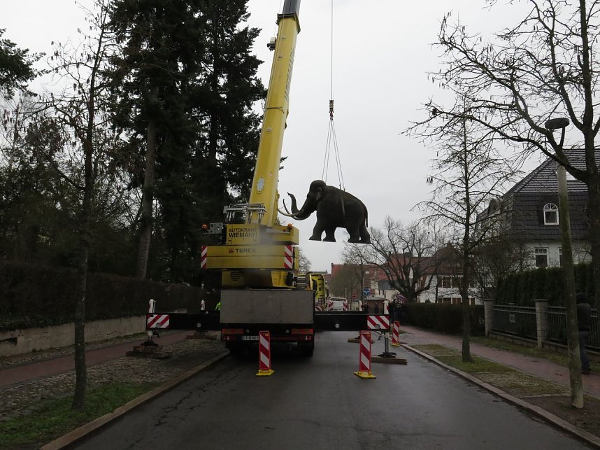 Das Mammut ist umgezogen
