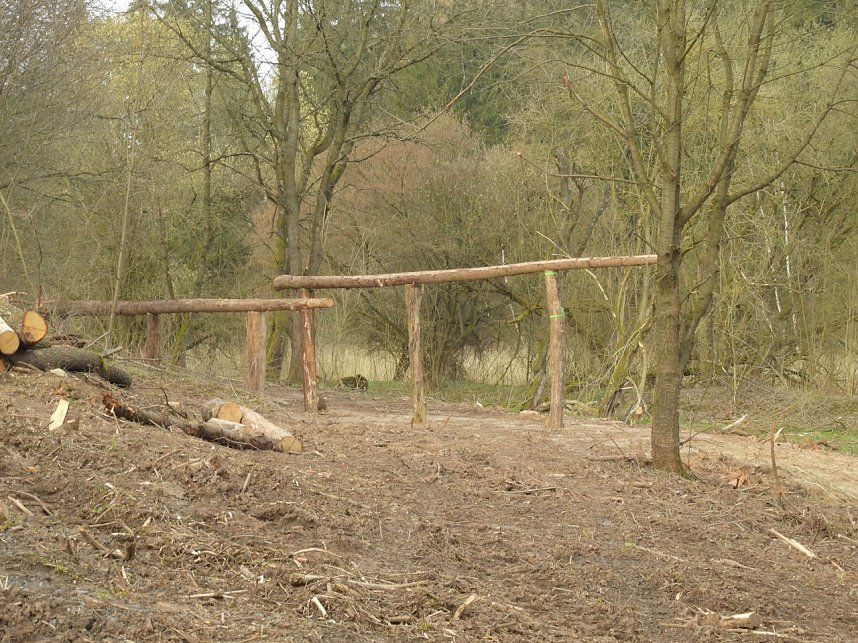 Platz f&uuml;r Wasserb&uuml;ffel