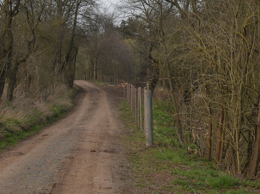 Platz f&uuml;r Wasserb&uuml;ffel