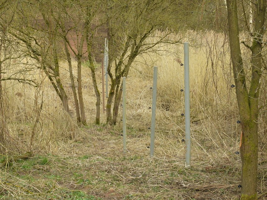Platz f&uuml;r Wasserb&uuml;ffel