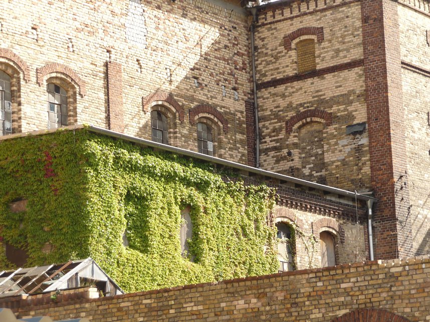 Walzenm&uuml;hle Delitzsch