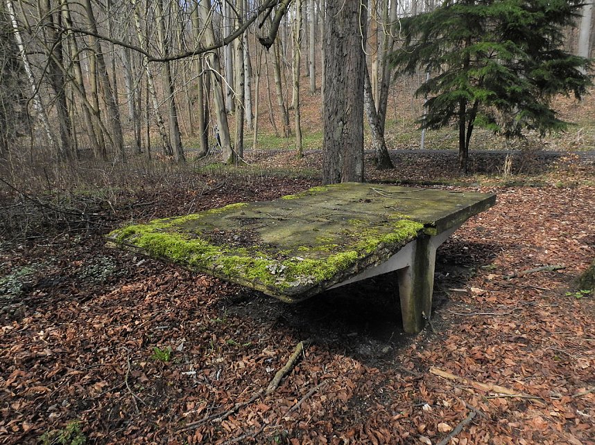 Abstecher nach Wendefurth