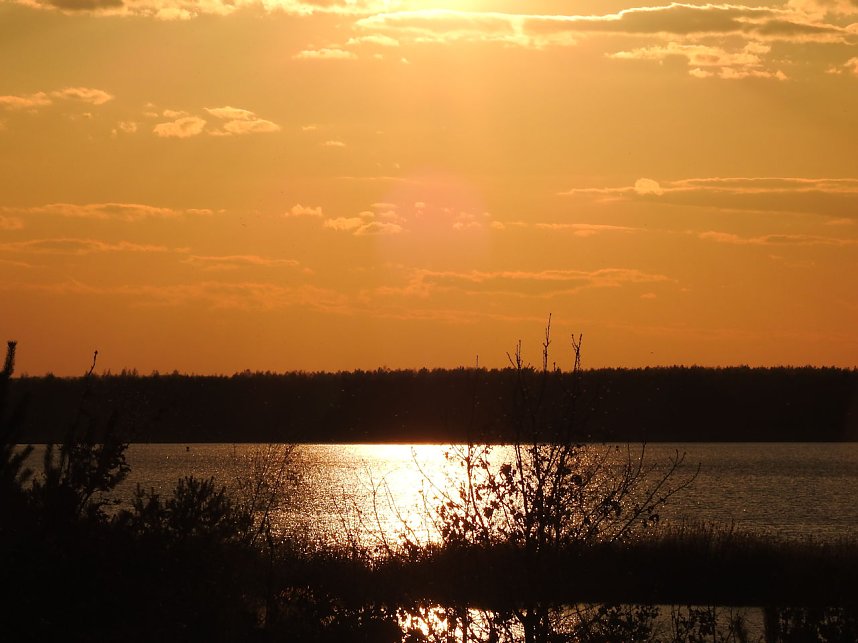 Peter Blei unterwegs - Seelhausener See im Abendrot