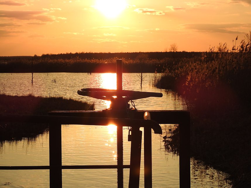 Peter Blei unterwegs - Seelhausener See im Abendrot