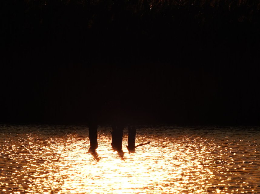 Peter Blei unterwegs - Seelhausener See im Abendrot