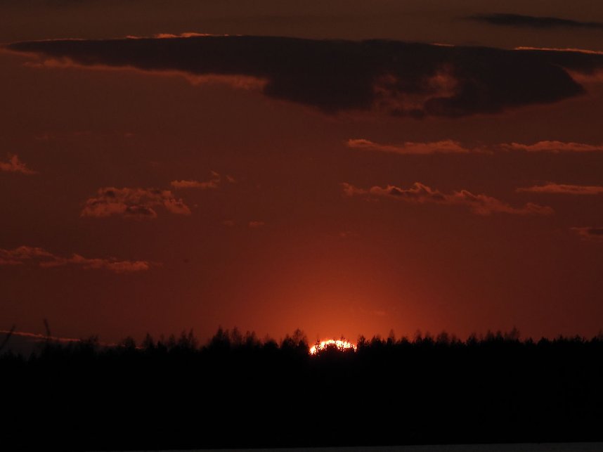 Peter Blei unterwegs - Seelhausener See im Abendrot