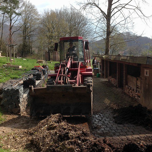 Fr&uuml;hjahrsputz im Ahornpark
