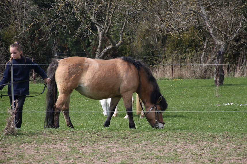 Hoffest in Wollersleben