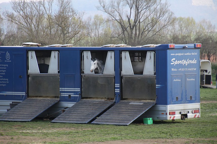 Hoffest in Wollersleben